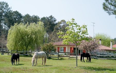 Domaine de l'Escuderia